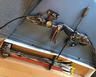 Bow and Arrows Fire Flite Express- Elite Series https://ctbids.com/#!/description/share/333224