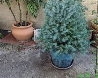 https://www.grasons.com/wp-content/uploads/2020/02/img-20200205-152012-848082-oupbqiAU.jpg