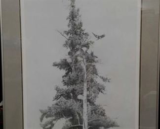 Print by Ron Pattern - tree with eagle
