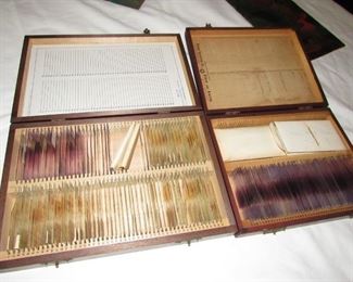 Hematology slides