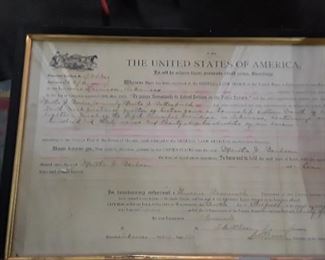United States of America Theodore Roosevelt Signature 