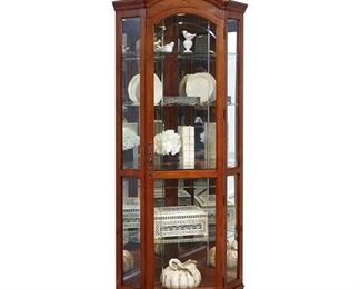 Darby Home Co Purvoche Lighted Curio Cabinet