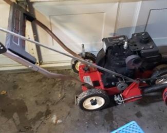 Trimmer edger Craftsman