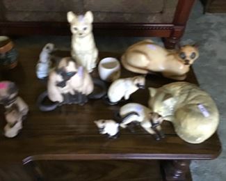 Cat collection