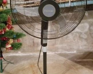 Oscillating Fan