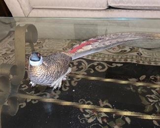Brass pheasant $10