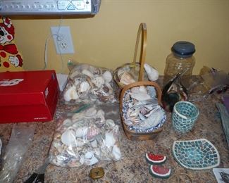 Seashells