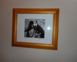 Monkey and a Dog Picture