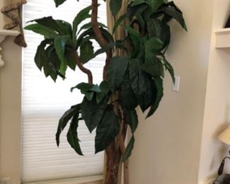 Large silk tree in basket