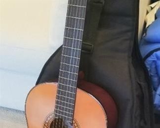 Takamine C116