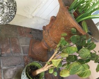 Two of these tall planters urn style