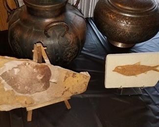 artifacts / fossils 
