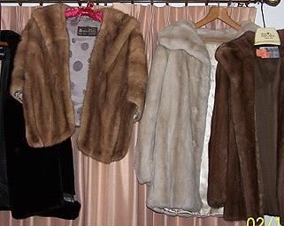 Fur coats and stole