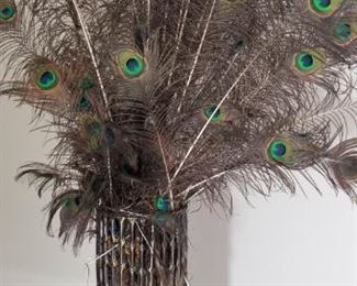 Peacock Feathers in Vase https://ctbids.com/#!/description/share/334791