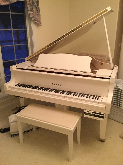 Piano. Yamaha player 