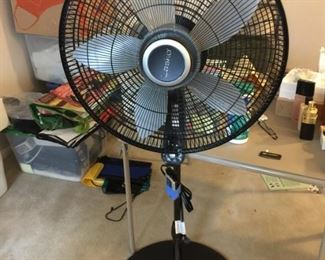 new fan
