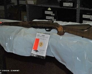 Anschutz 1730 D KL - 22 Hornet - 3073-634 3-DSC_0041