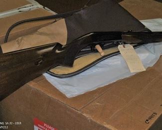 Browning SA 22 - 22Lr - 02085MY212 3-DSC_0047 (2)