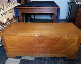 Lane Hope Cest with Inside Shelves