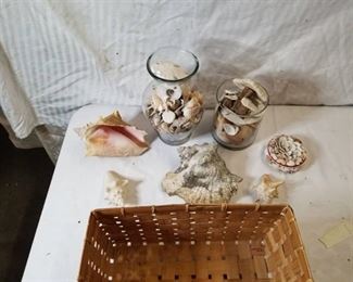 Lot of Sea Shells and Basket