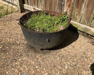 Cast iron kettle planter