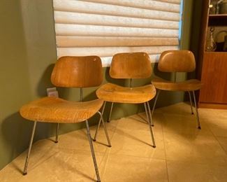 Eames plywood chairs