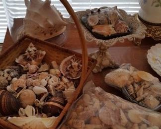 Shell collection