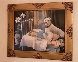 Faithful Companion https://ctbids.com/#!/description/share/338039