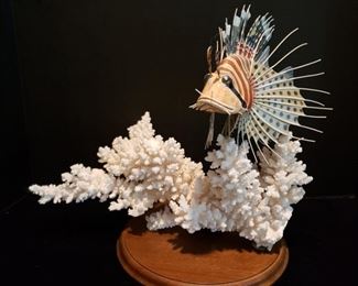 Wonderful coral with a lion fish