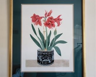 "Amaryllis" lithograph by Arnold Iger
