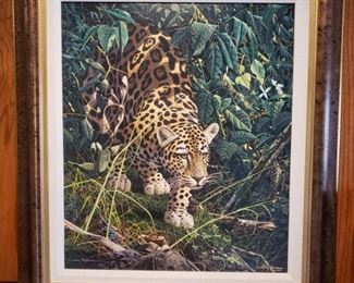 Craig Bone Cheetah limited edition signed print 22/30