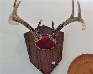 L85=Deer antler mount:  $ 22.
