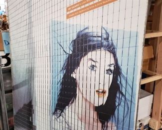 48"W x 62"H Art on foam board velcro mounting 