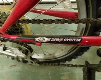 Girls Red Roadmaster Sport 20" Bike