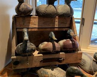 Collection of Antique and Vintage Duck Decoys