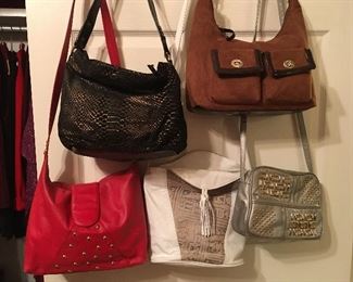 Over 100 Leather Purses
