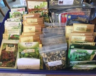 Seeds! Perfect timing for your summer crop