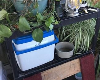Plants, coolers, moving dolly