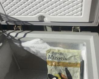 Inside the lift top freezer