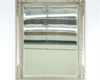 Large Silver Botanical Frame Mirror