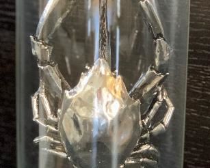Silver Crab Specimen decor		
