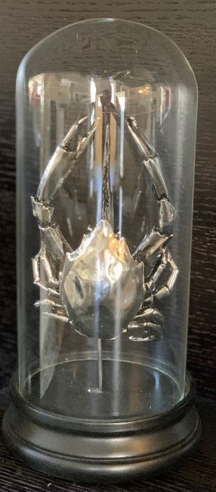 Silver Crab Specimen decor		
