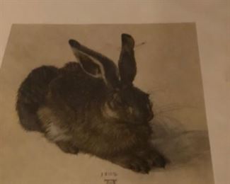 Print of bunny