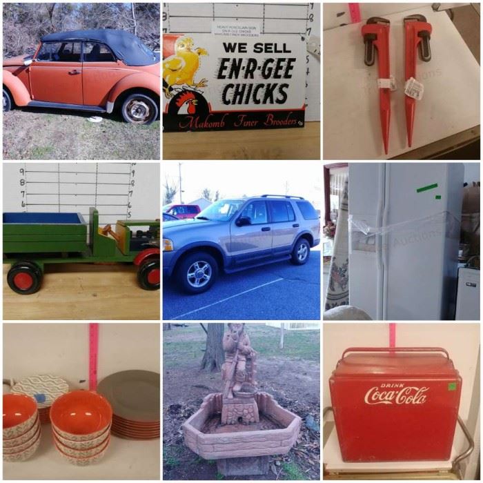 Delaware Auction Downsizing