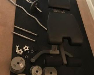 Bowflex bench, mat, and free weights. https://ctbids.com/#!/description/share/340734