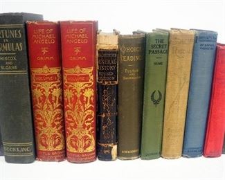 Collection Of Novels, Biographies And Histories, Various Titles And Authors, Includes Life Of Michael Angelo, Fortunes In Formula And More, Qty 9