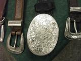Close up of some of the buckles.
