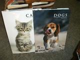 DOGGONE CATS! THEY GET ALL THE GOOD STUFF.