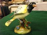 CROWN STAFFORDSHIRE BIRD