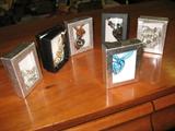 jewels in boxes